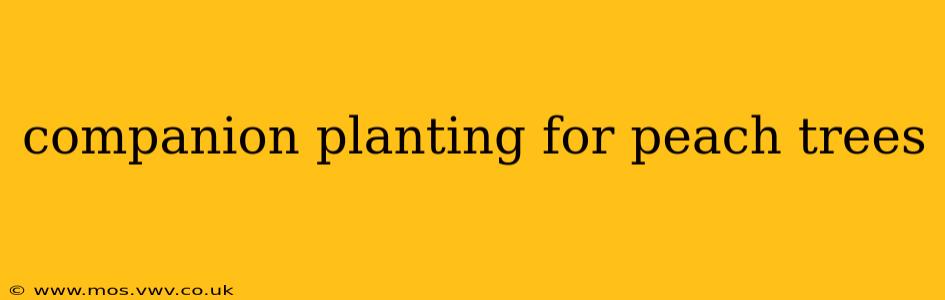companion planting for peach trees