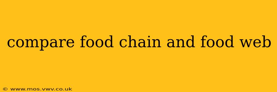 compare food chain and food web