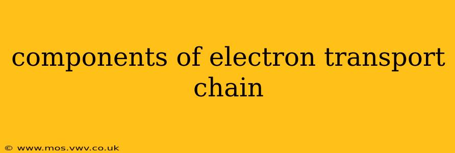 components of electron transport chain