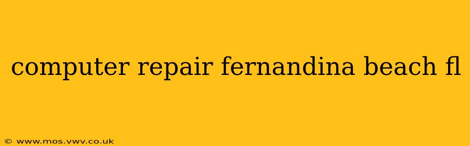 computer repair fernandina beach fl