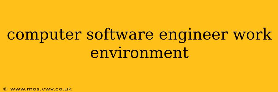 computer software engineer work environment