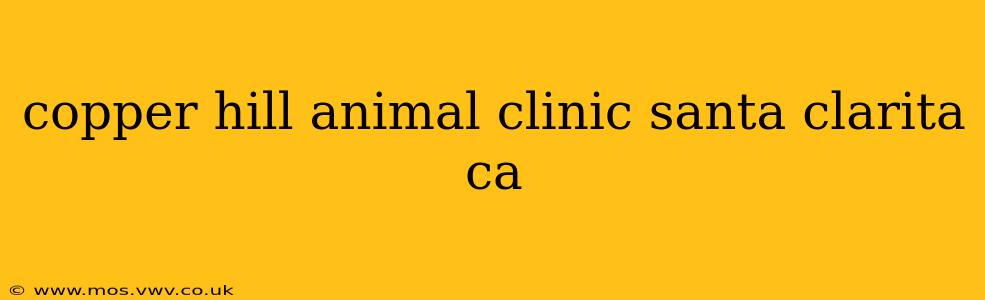 copper hill animal clinic santa clarita ca
