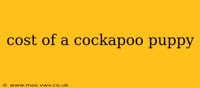 cost of a cockapoo puppy