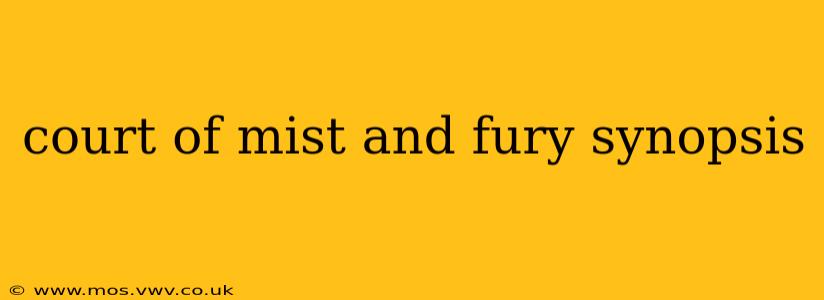 court of mist and fury synopsis