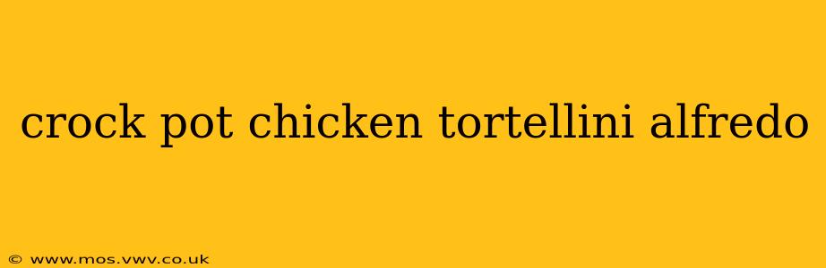 crock pot chicken tortellini alfredo
