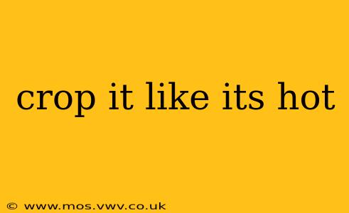 crop it like its hot
