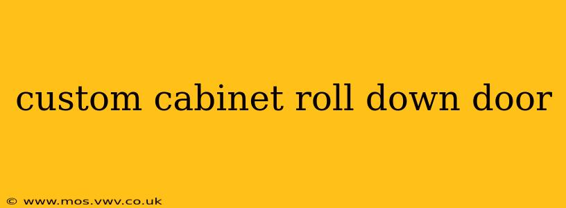 custom cabinet roll down door