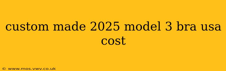 custom made 2025 model 3 bra usa cost