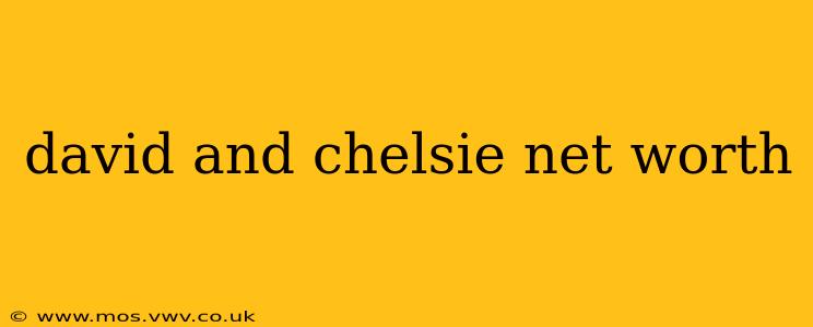 david and chelsie net worth