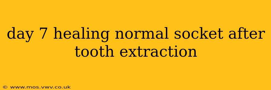 day 7 healing normal socket after tooth extraction