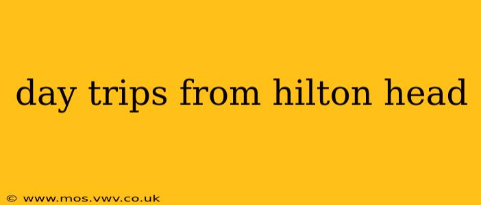 day trips from hilton head