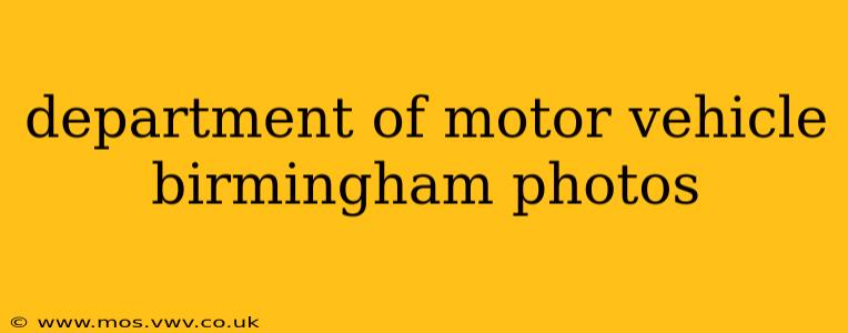 department of motor vehicle birmingham photos