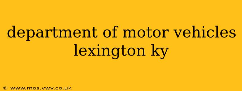 department of motor vehicles lexington ky