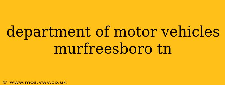 department of motor vehicles murfreesboro tn
