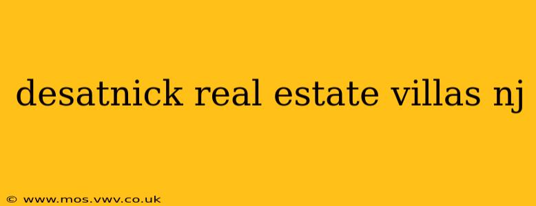 desatnick real estate villas nj