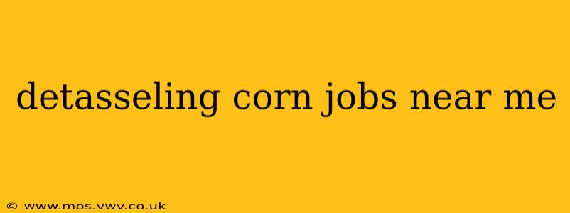 detasseling corn jobs near me