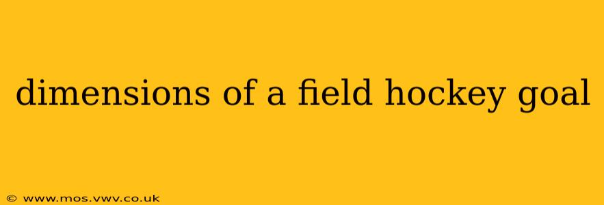 dimensions of a field hockey goal