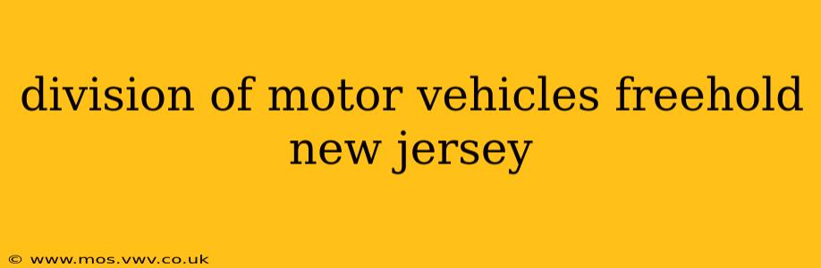 division of motor vehicles freehold new jersey