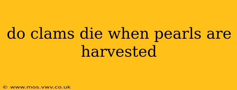 do clams die when pearls are harvested