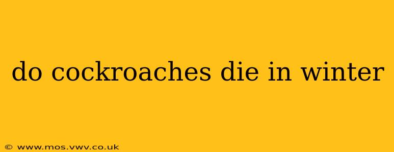do cockroaches die in winter