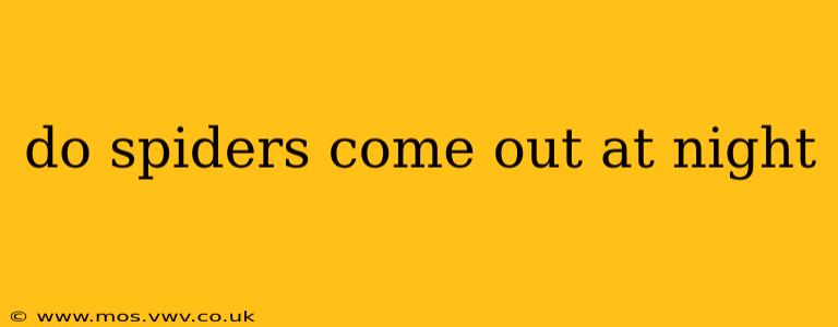 do spiders come out at night