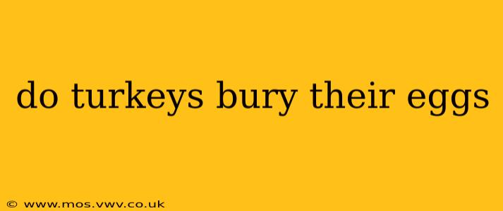 do turkeys bury their eggs