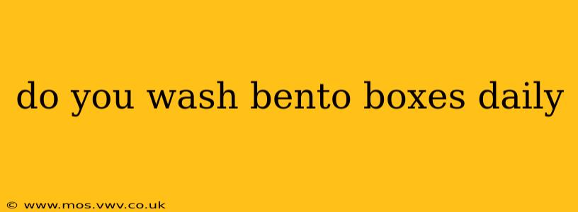 do you wash bento boxes daily