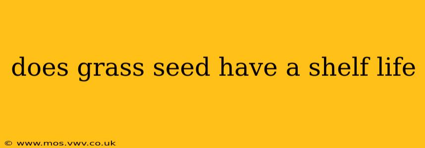 does grass seed have a shelf life