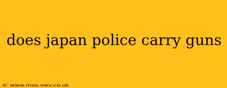 does japan police carry guns