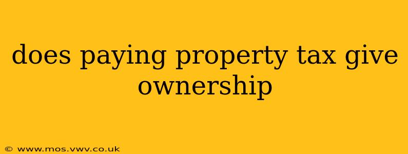 does paying property tax give ownership