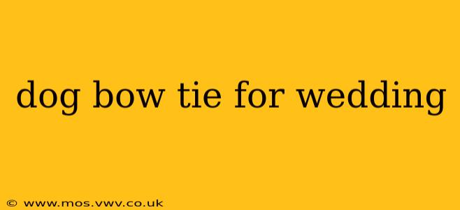 dog bow tie for wedding