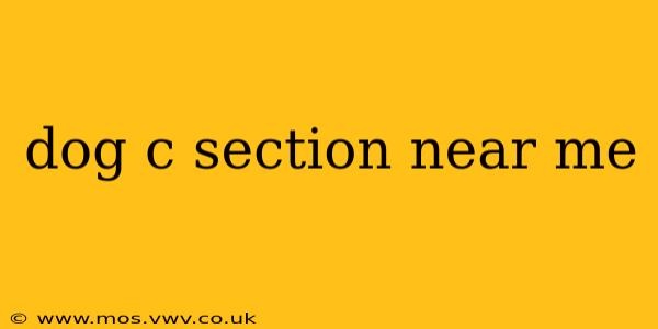 dog c section near me