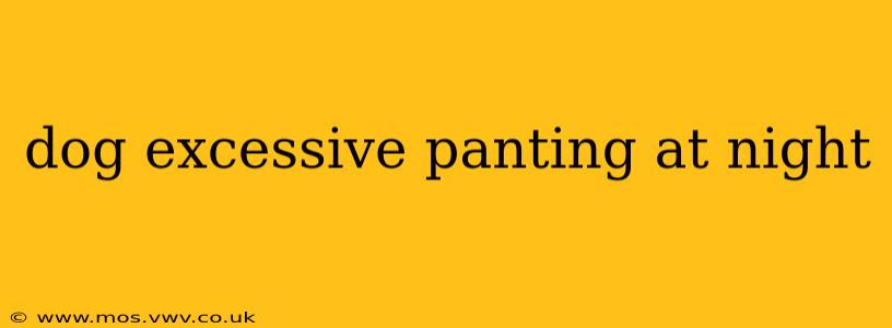dog excessive panting at night