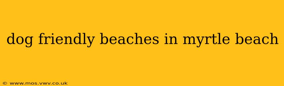 dog friendly beaches in myrtle beach