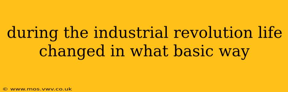 during the industrial revolution life changed in what basic way
