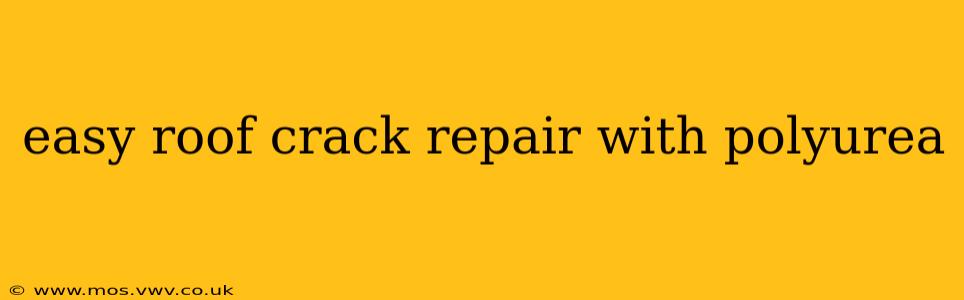 easy roof crack repair with polyurea
