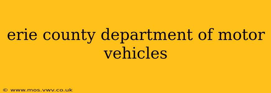 erie county department of motor vehicles