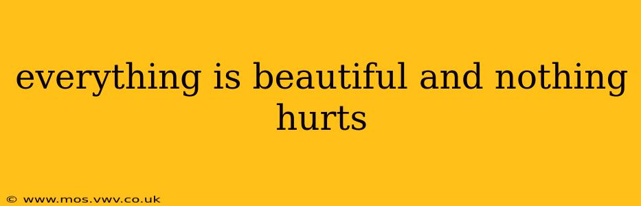 everything is beautiful and nothing hurts