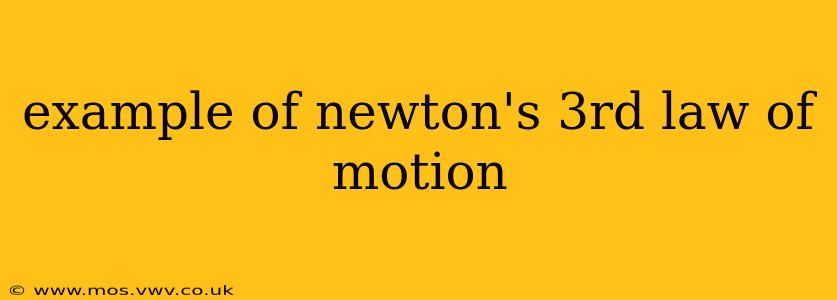 example of newton's 3rd law of motion