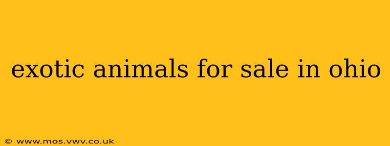 exotic animals for sale in ohio