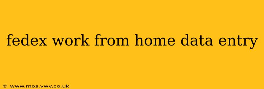 fedex work from home data entry