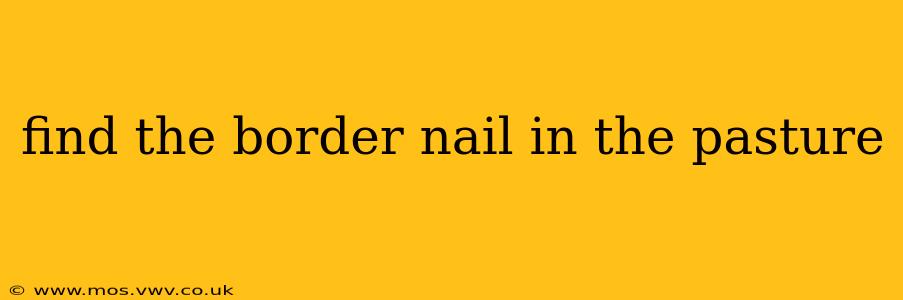 find the border nail in the pasture