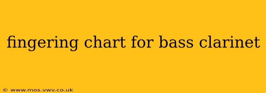 fingering chart for bass clarinet