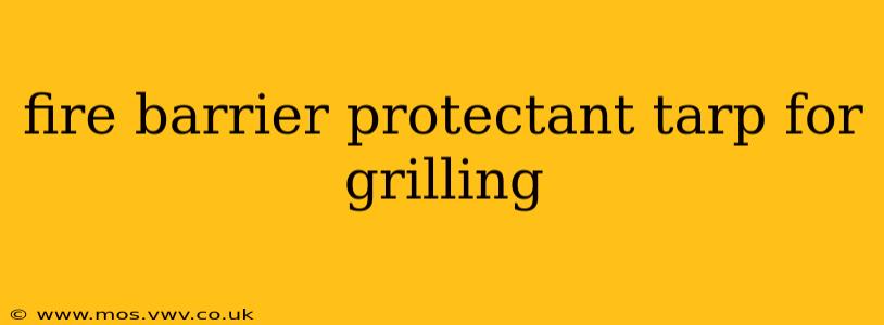 fire barrier protectant tarp for grilling