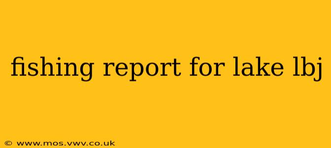 fishing report for lake lbj