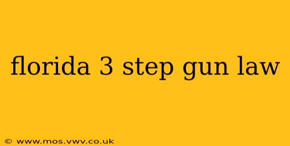 florida 3 step gun law