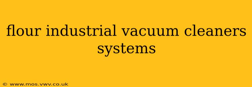 flour industrial vacuum cleaners systems