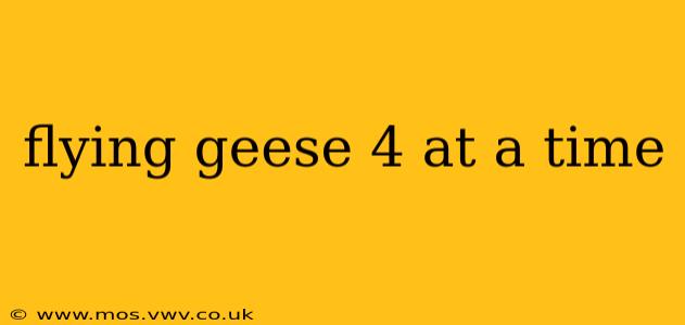 flying geese 4 at a time