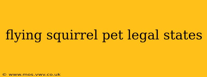 flying squirrel pet legal states