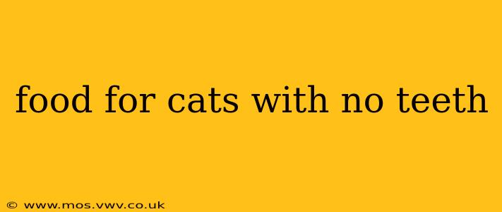 food for cats with no teeth